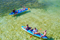 excursion kayak mangrove guadeloupe