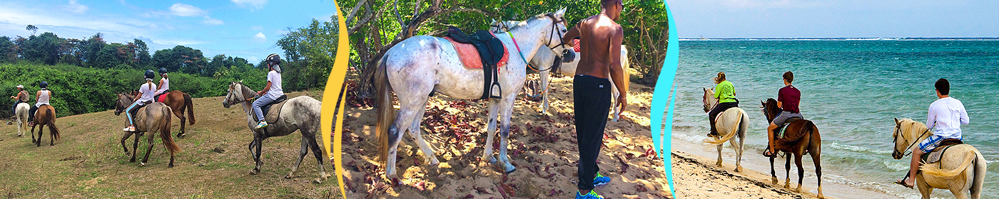Randonnée cheval - Guadeloupe