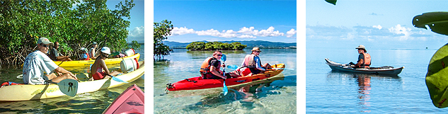 excursion kayak ilet mangrove guadeloupe