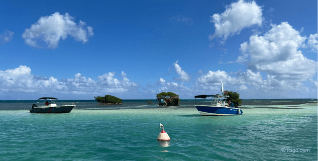 Grand-Cul-de-Sac Marin Lagoon, Guadeloupe