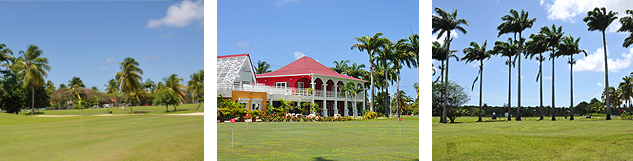 Fairway et green Golf St-François