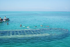 Baignade au dessus d'une épave