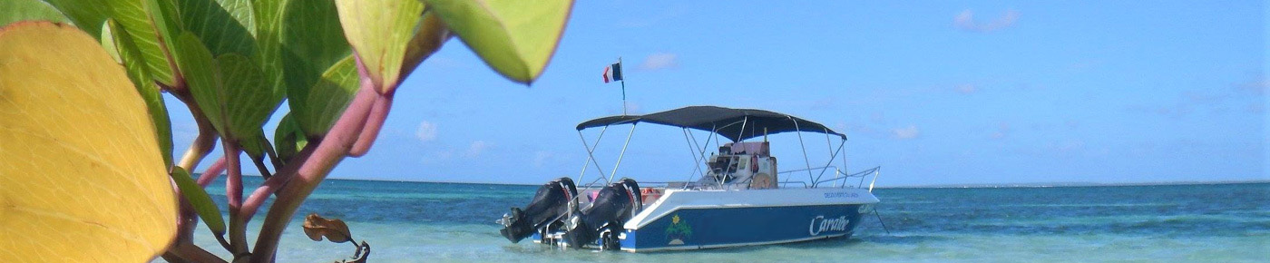 Excursion vers le Grand cul-de-sac Marin