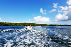 Approche de la mangrove