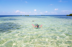 Snorkeling près de la mangrove