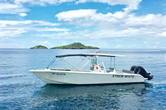 bateau excursion cetacés bouillante