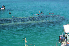 Baignade et snorkeling sur épave