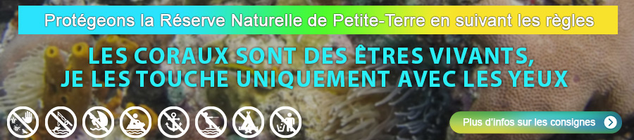 Sensibilisation sur la protection de Petite-Terre