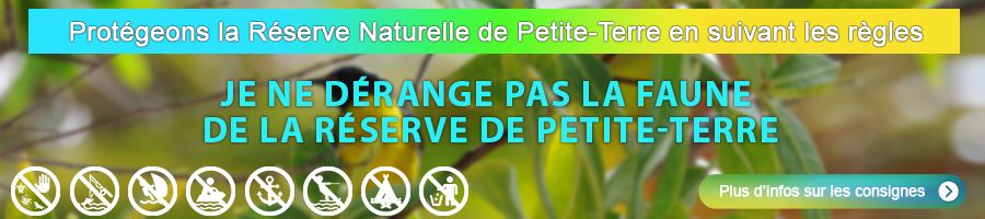Sensibilisation sur la protection de Petite-Terre