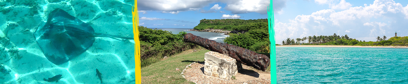 excursion petite terre + désirade Guadeloupe