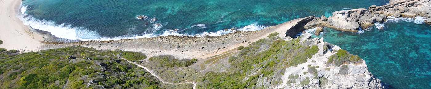 Excursion Pointe des chateaux - Guadeloupe