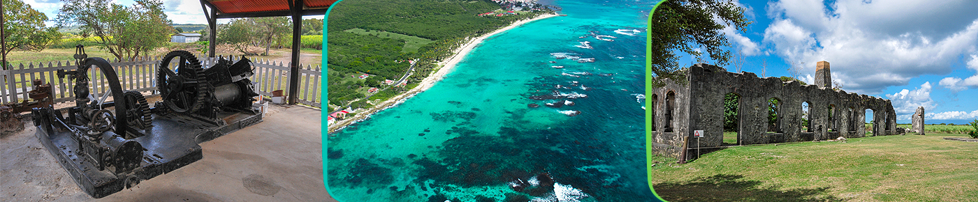 Excursion à Marie-Galante ICIGO