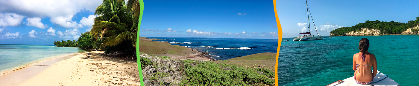 excursion renconre tortues guadeloupe