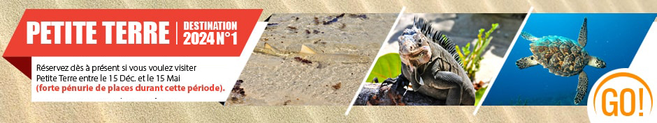 Promotion Excursion Petite Terre