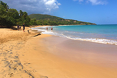 Belle plage de Cluny 