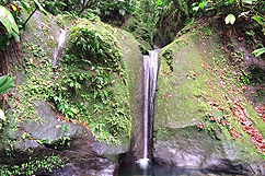 cascade guadeloupe