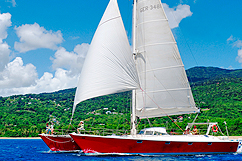 Excursion catamaran Guadeloupe, Réserve Cousteau