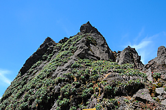 La Guenon, La Soufrière