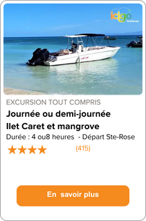 Journée ou demi journée à l'ilet caret et mangrove