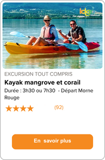 Kayak Mangrove et corail