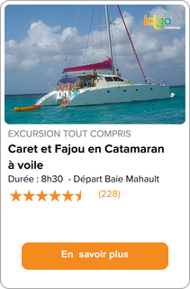 Caret et Fajou en Catamaran à voile