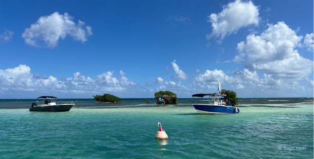 Lagon du Grand-cul-de-sac-marin