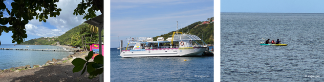 Explorez la Réserve Cousteau comme vous aimez