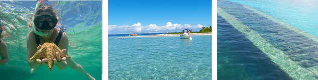 Snorkeing Grand Cul-de-sac Marin
