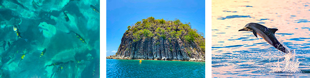 excursion les saintes - guadeloupe