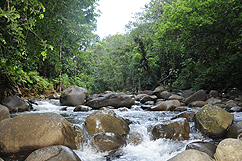 Rivière de la cascade aux écrevisses