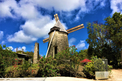 Moulin visité lors d'une excursion à Marie-Galante