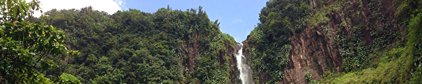 2ie chutes du Carbet