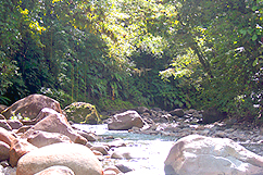 Cascade aux écrevisses