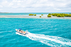 excursion bateau caret grand cul-de-sac marin