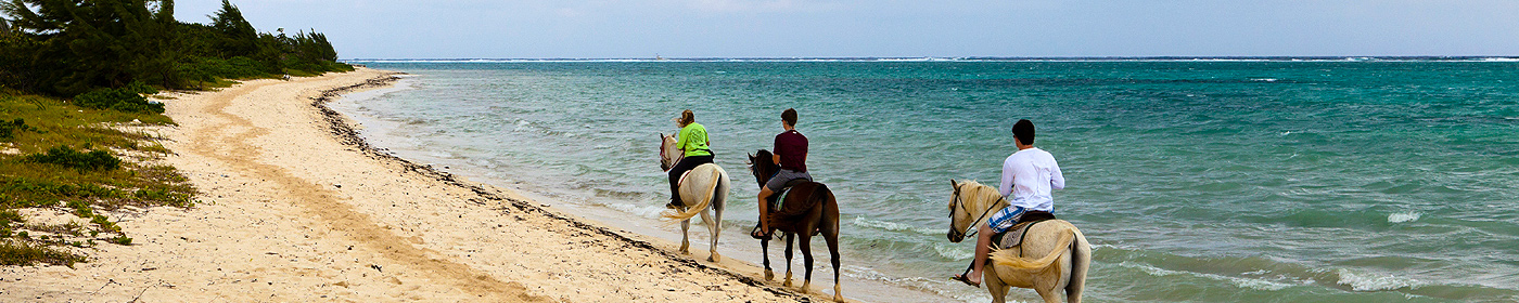 Balade à cheval Guadeloupe