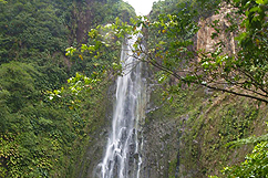 chute du carbet