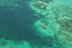 L'épave près de la barrière de corail du Grand cul de sac marin