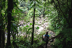 Descente vers la rivière