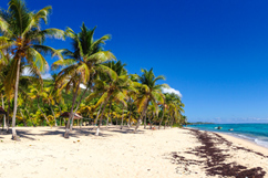 Plage du Souffleur La Désirade