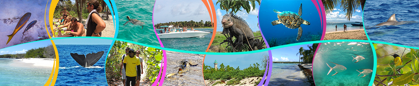 Excursion Petite Terre en bateau rapide - Guadeloupe