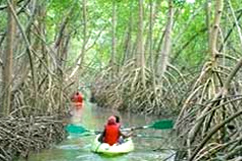 Excursion kayak
