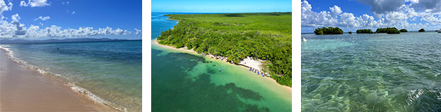 excursion ilet caret et mangrove