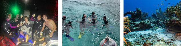 Excursion plongée PMT nocturne Guadeloupe