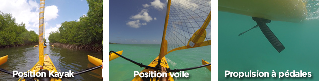 Positions kayak voile et pédalier
