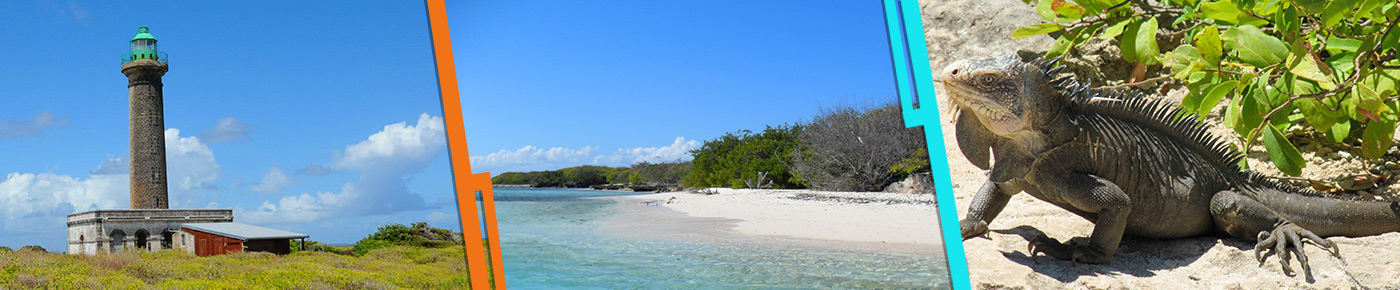 Excursion Petite Terre avec Faider - Guadeloupe