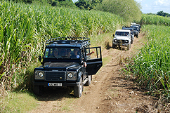 Land Rover champ de canne à sucre