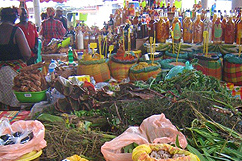 Marchés aux épices - Basse Terre