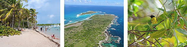 excursion petite terre en bateau rapide