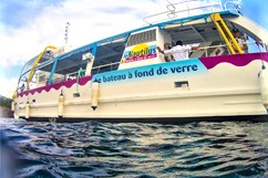 Excursion bateau fond de verre cousteau