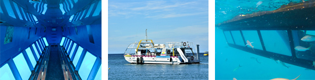 Visite réserve cousteau avec bateau fond de verre